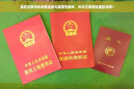 离职证明书的获取流程与重要性解析，如何正确要回离职证明？