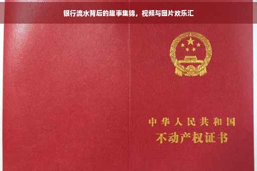 银行流水背后的趣事集锦，视频与图片欢乐汇