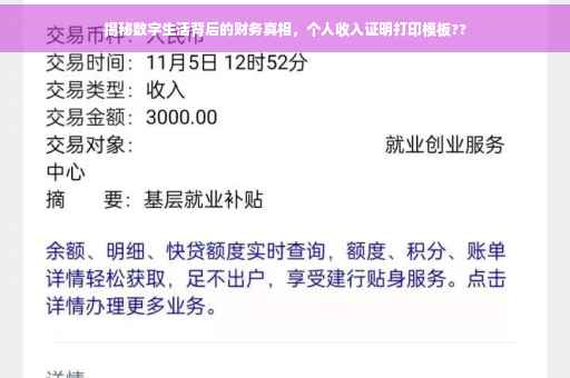 揭秘数字生活背后的财务真相，个人收入证明打印模板??