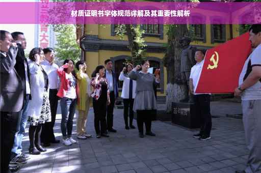 材质证明书字体规范详解及其重要性解析