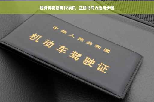 税务完税证明书详解，正确书写方法与步骤