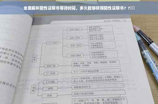 全面解析阳性证明书等待时间，多久能够获得阳性证明书？?⚡️