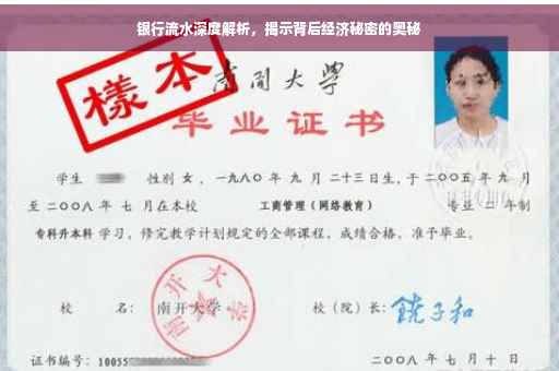银行流水深度解析，揭示背后经济秘密的奥秘