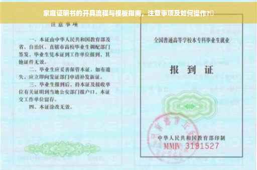 家庭证明书的开具流程与模板指南，注意事项及如何操作?✨
