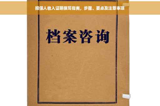 担保人收入证明撰写指南，步骤、要点及注意事项