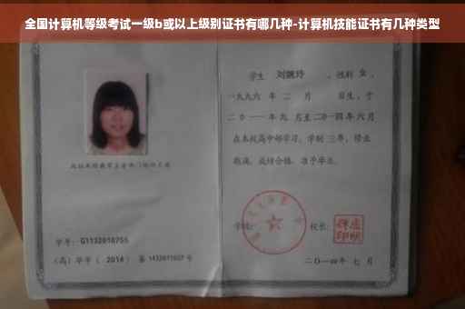 全国计算机等级考试一级b或以上级别证书有哪几种-计算机技能证书有几种类型
