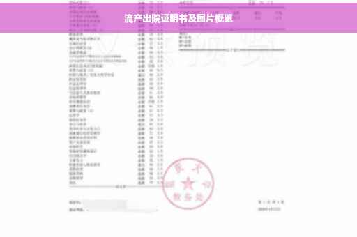 流产出院证明书及图片概览