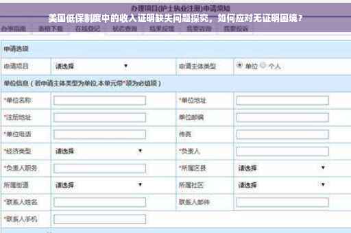 美国低保制度中的收入证明缺失问题探究，如何应对无证明困境？