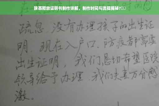 陕西释放证明书制作详解，制作时间与流程揭秘?⚡️