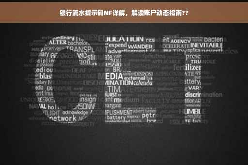 银行流水提示码NF详解，解读账户动态指南??