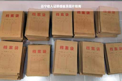 苏宁收入证明模板及图片指南