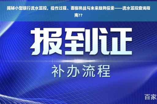 揭秘小型银行流水监控，操作过程、面临挑战与未来趋势探索——流水监控查询指南??