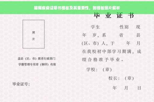 脑瘫疾病证明书模板及其重要性，附模板图片解析
