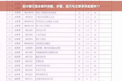 会计银行流水核对详解，步骤、技巧与注意事项全解析??