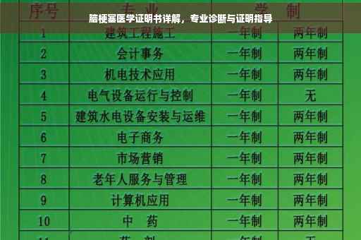 脑梗塞医学证明书详解，专业诊断与证明指导