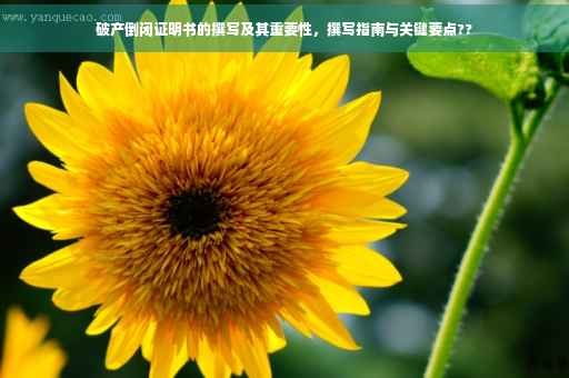 破产倒闭证明书的撰写及其重要性，撰写指南与关键要点??