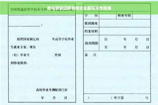 参与项目证明书格式详解与写作指南