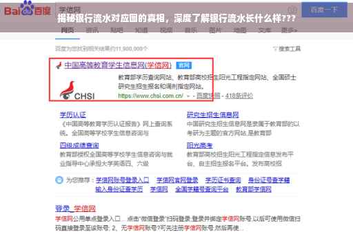 揭秘银行流水对应图的真相，深度了解银行流水长什么样???