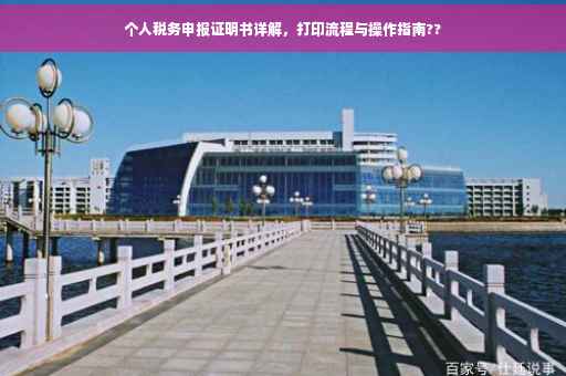 个人税务申报证明书详解，打印流程与操作指南??