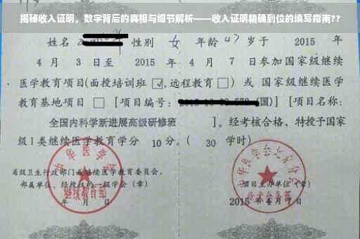 揭秘收入证明，数字背后的真相与细节解析——收入证明精确到位的填写指南??