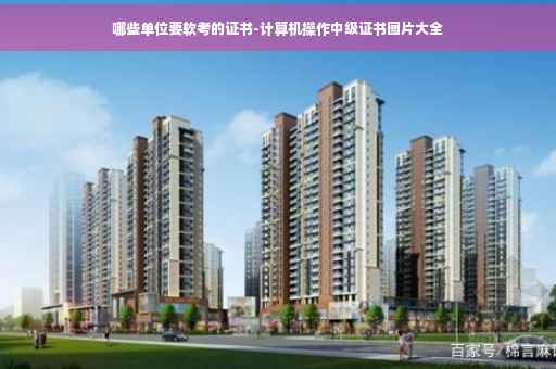 哪些单位要软考的证书-计算机操作中级证书图片大全