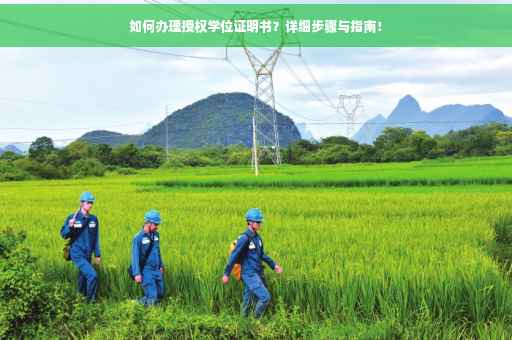 如何办理授权学位证明书？详细步骤与指南！