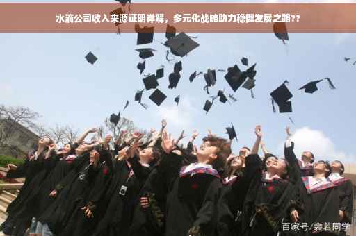 水滴公司收入来源证明详解，多元化战略助力稳健发展之路??