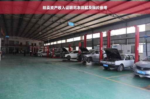 拍卖资产收入证明范本详解及图片参考