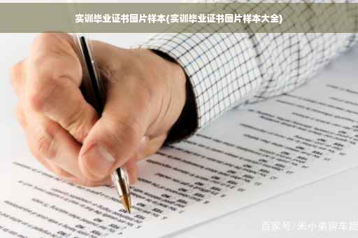 实训毕业证书图片样本(实训毕业证书图片样本大全)