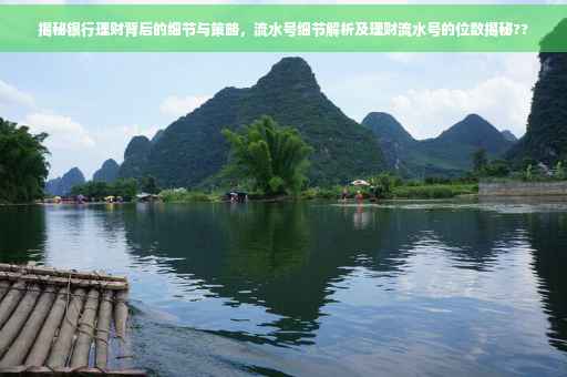 揭秘银行理财背后的细节与策略，流水号细节解析及理财流水号的位数揭秘??