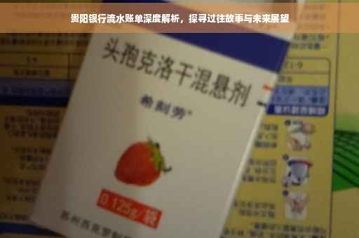 贵阳银行流水账单深度解析，探寻过往故事与未来展望
