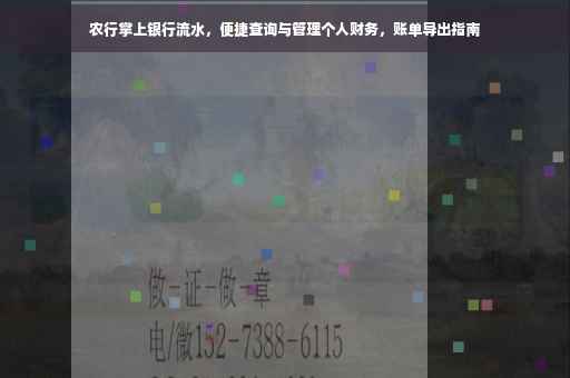 农行掌上银行流水，便捷查询与管理个人财务，账单导出指南