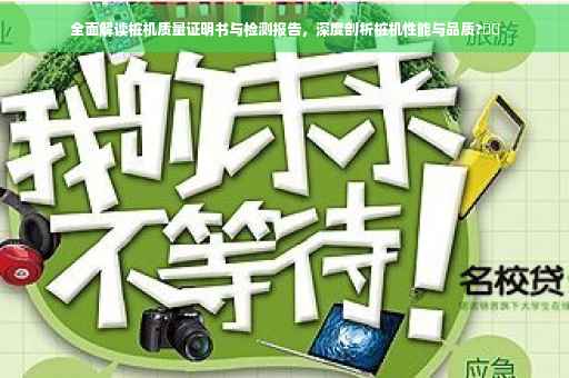 全面解读桩机质量证明书与检测报告，深度剖析桩机性能与品质?⚡️
