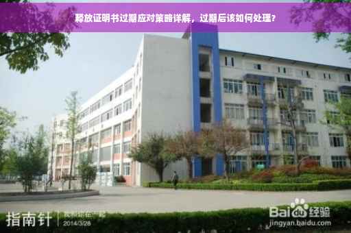 释放证明书过期应对策略详解，过期后该如何处理？