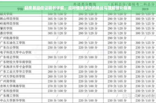 轻度暴躁症证明书详解，应对情绪波动的挑战与理解图片指南