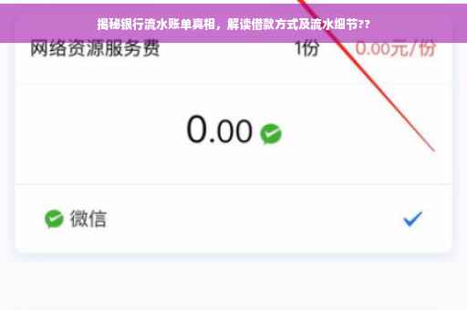 揭秘银行流水账单真相，解读借款方式及流水细节??