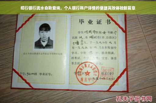 招行银行流水自助查询，个人银行账户详情的便捷高效体验新篇章
