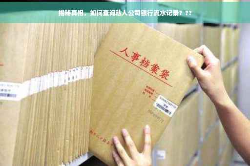 揭秘真相，如何查询私人公司银行流水记录？??