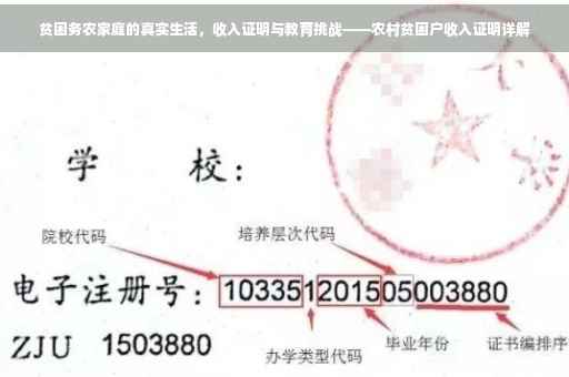 贫困务农家庭的真实生活，收入证明与教育挑战——农村贫困户收入证明详解