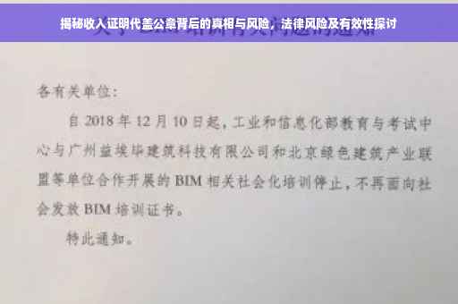 揭秘收入证明代盖公章背后的真相与风险，法律风险及有效性探讨