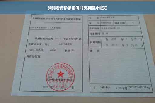 狗狗看病诊断证明书及其图片概览