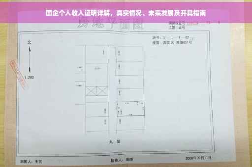 国企个人收入证明详解，真实情况、未来发展及开具指南