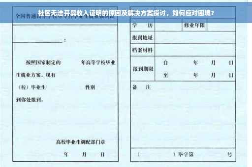 社区无法开具收入证明的原因及解决方案探讨，如何应对困境？