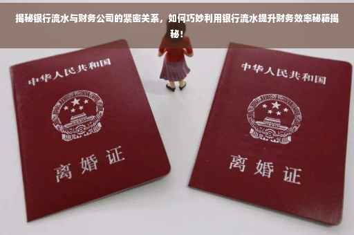 揭秘银行流水与财务公司的紧密关系，如何巧妙利用银行流水提升财务效率秘籍揭秘！