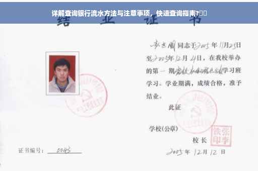 详解查询银行流水方法与注意事项，快速查询指南?⚡️
