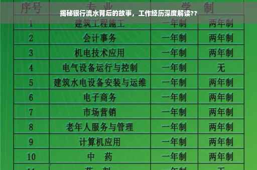 揭秘银行流水背后的故事，工作经历深度解读??
