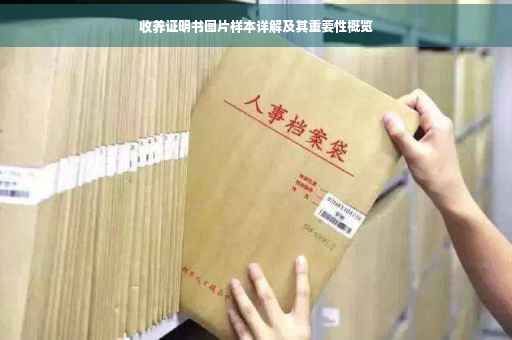 收养证明书图片样本详解及其重要性概览