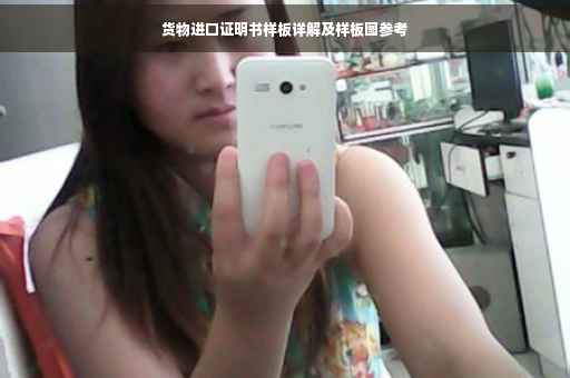货物进口证明书样板详解及样板图参考