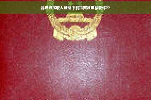 武汉购房收入证明下载指南及推荐软件??
