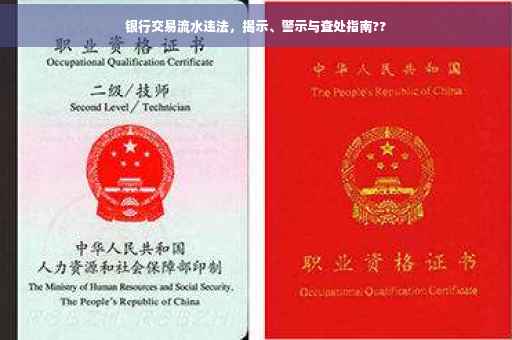 银行交易流水违法，揭示、警示与查处指南??